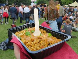 festivaleten nasi intro