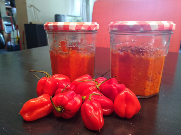 killersambal habanero