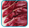 radicchio thb